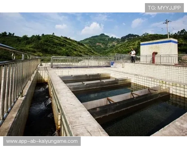 海地推行农村体育振兴计划，体育赛事振兴乡村